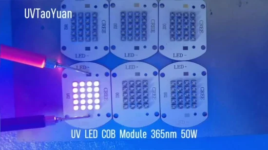 Puce LED bleue UV COB 50W 455